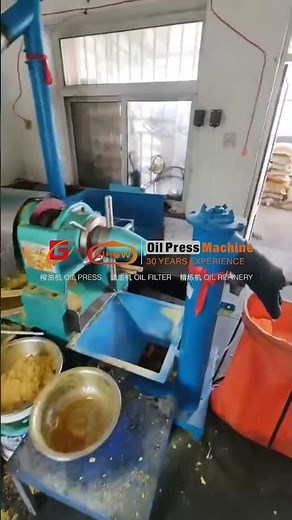 Guangxin Soybean Oil Press YZYX130GX-9 | 300Kg/Hour Screw Oil Extraction Machine Soya Bean Oil Mill