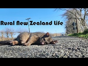 Rural Life In New Zealand