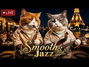 Smooth Jazz Soul RnB in Paris 🎷 Smooth Jazz Instrumental Music for Relaxing Midnight with Cat Band