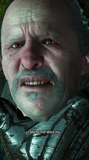 Witcher Vessemir Final Words