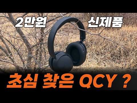 These wireless headphones cost 20,000 won... but why is the sound quality so bad? I've bought ano...