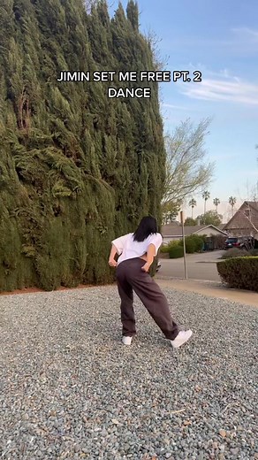 Incredible Dance Performance by Jimin from BTS