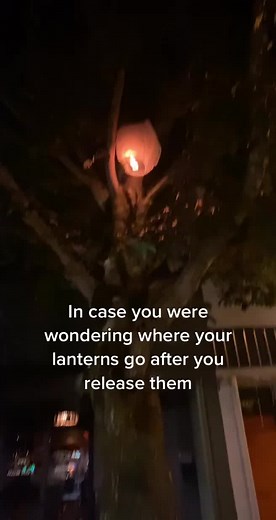 Sarah Clarke on TikTok