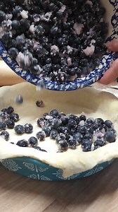 19K views · 155 reactions | Blueberry Pie with homemade pie crust wild blueberries (fresh or frozen) lemon juice instant tapioca granulated sugar homemade or store-bought pie crust FULL recipe here  https://afarmgirlskitchen.com/blueberry-pie/ #baking #piecrust #blueberrypie #easyrecipes #recipes | A Farmgirl's Kitchen | Facebook