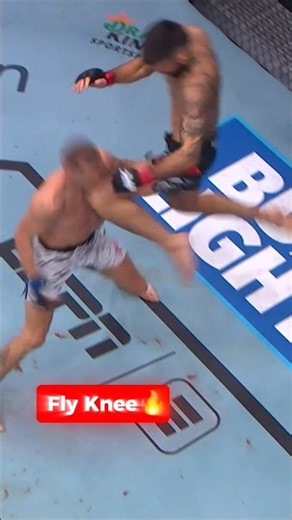 Flying Knee Strike 📹🦅 How cool was that!#ufc #mma #kick #fighting #knockout # #martialarts #trending