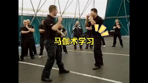 马伽术训练-研讨会