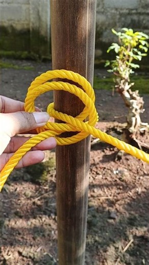 "The Easiest Knot - Very Strong and Useful!" #knot #shorts #diy
