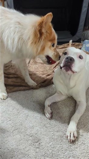 Kai & Carl, 13 Sep 2025