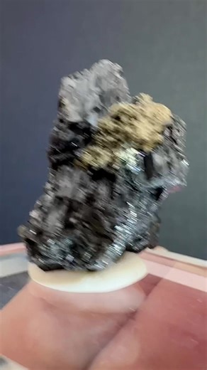 This rare Pyrargyrite specimen comes straight from the silver-rich veins of Bolivia. Dark metallic blades, shimmering red when the light hits just right. An intense, compact piece – elegant, ancient, raw. 𓆸 For serious collectors, or those who love minerals with deep presence. 💎 15.84g | 2.6 x 1.9 cm 📍 Bolivia 📦 Shipping worldwide #Pyrargyrite #MineralCollectors #RareMinerals #SilverMinerals #CrystalCollection #BolivianMinerals #Sulfosalt #MineralSpecimen #CrystalsForSale #MineralDealer #Min