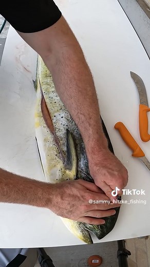 Fastest way to skin your catch! Full trip video is on my YT #fyp #fakevideo #lifehack #fishing