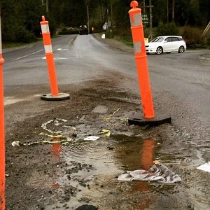 2.7K views · 82 reactions | Eternal spring. #saltspringisland #saltspring | Salt Spring Exchange | Facebook