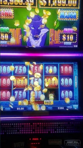 Dover Downs Bally Casino! Wage Saver Gave me the free spins #winning #slotplayer #slotmachines