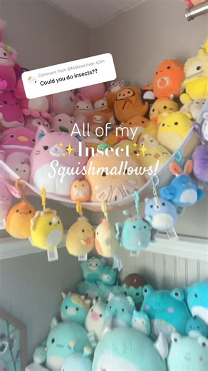 All of my bug Squishmallows! #squishmallows #shorts #squishmallowsquad