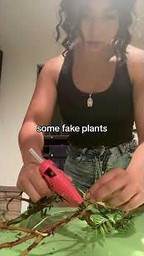 Chameleon Enclosure Setup #chameleon #reptiles #science