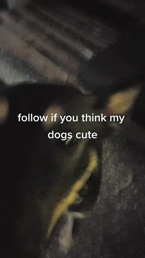 ryancroyden (@ryancroyden)’s videos with original sound - ryancroyden