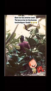 ma e na bwakara e kounako e aera Tenano Prompt Bob?😂 | Joan Rubi Aana