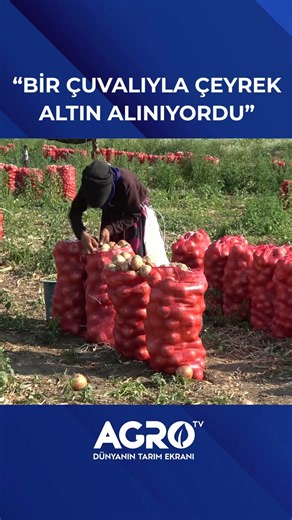 Bir Çuvalıyla Çeyrek Altın Alınıyordu Şimdi Çay Para Bile Etmiyor #shorts
