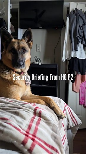 Security Briefing From HQ – Part 2 🛡️