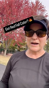 219K views · 2.9K reactions | Did you know that red fall color is...