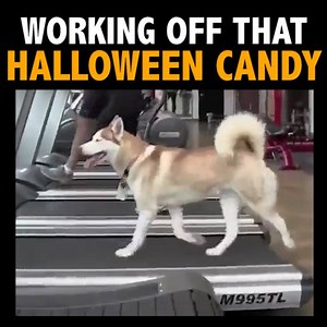 The day after Halloween...Via In The Know | AOL