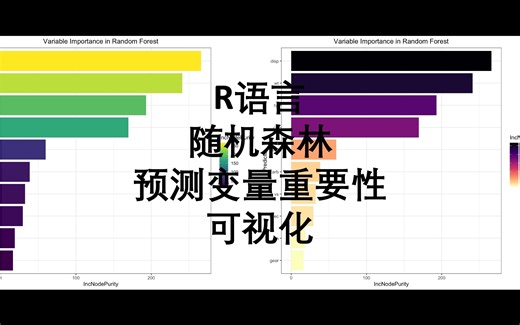 R语言 随机森林 变量重要性可视化