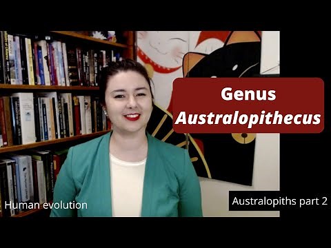 Genus Australopithecus | Australopiths