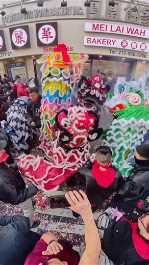 Lion Lions Dancing Lions NYC