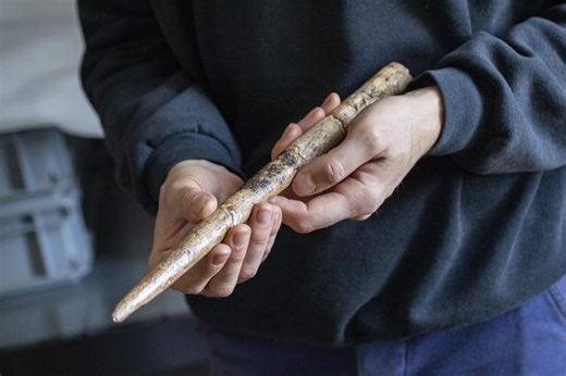 Scientists Discover the Oldest Whale Bone Tools | Earth And The Environment