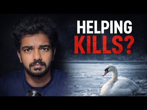 Help Pannina Danger! Frozen Swan Mystery Explained #tamil