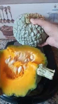 Benefits of Pumpkin or Squash Known as Winter Squash and Its Effectiveness in Getting Rid of Inte...