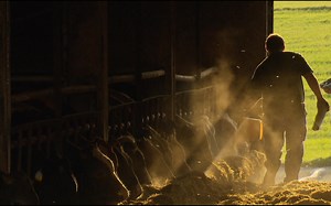 Neuchâtel forme des "sentinelles" pour prévenir le suicide des paysans | RTS