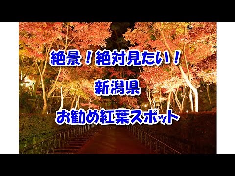 【新潟県】絶景！絶対見たい！お勧め紅葉スポットまとめ