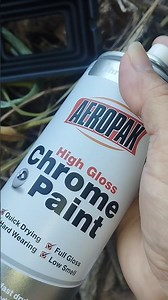 Chrome Paint
