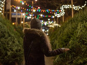 Where To Find A Christmas Tree In Murrieta: 2024 Guide