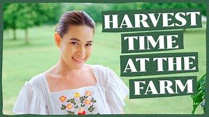 753K views · 10K reactions | Welcome to my mom's new project, ang Mary's Secret Garden na puno ng mga gulay tulad ng sitaw at talong. I'll also share a glimpse of the usual things our family does kapag umuulan sa farm.  #BeaAlonzo #ByBea #LifeIsBeautiful #BeatiFirma #FarmUpdate Follow me: https://www.youtube.com/c/bybea https://www.instagram.com/beaalonzo For business inquiries, email: hello@digiworx-mi.com sskuanmanila@aol.com | Bea Alonzo | Facebook