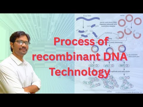 Process of recombinant DNA Technology || Intermediate Botany Most Important Questions
