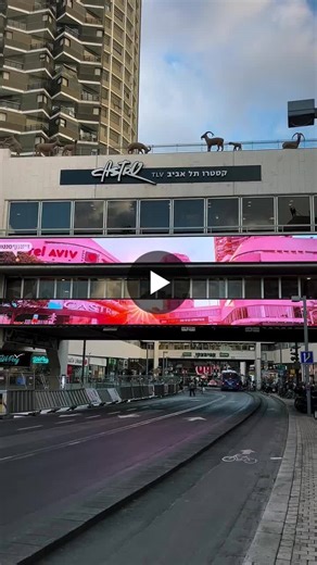 תקופה שלמה שצרובה באור וחושך תהומות לצד תפילות ותקווה גדולה אחת – שעדיין תלויה שם, גבוה, על הגשר אז בואו הביתה אנחנו כבר לא נאמר אף מילה 💛 No Dizengoff Center | Eden Cohen Zion