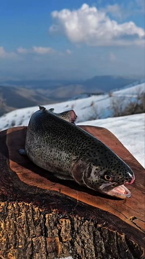 343K views · 5.2K reactions | Have you ever eaten delicious fish prepared in salt? | Leon Cooking Bar | Facebook