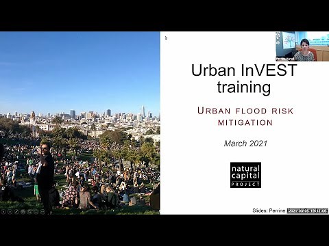 Introduction to the Urban Flood Risk Mitigation Model