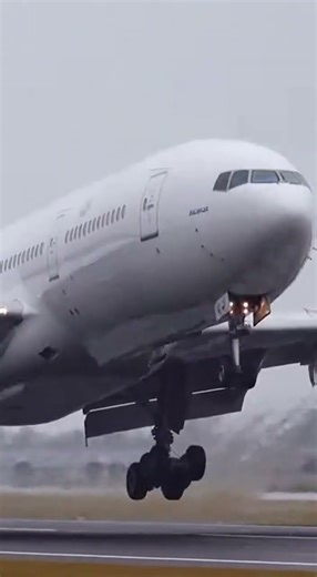 Crosswind Extreme Landing — Wing Flex & Gear Bounce