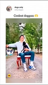 1.8K views · 10K reactions | 奈﫶(watch our highlights) . . #dogsbeingdogs #dogs #doglovers #dogreels #doglove #funnydogvideos #dogdaily #doggolove #doggomeme #doggielife #dailydoggo #doglovers #dogoftheday #dogreels | Dogxx.xoxo | Facebook