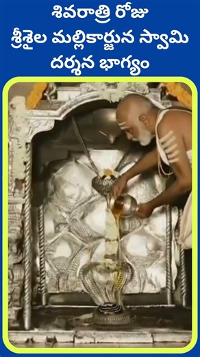 శివరాత్రి రోజు శ్రీశైల మల్లికార్జున స్వామి దర్శన భాగ్యం || Prime pages