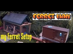 My Ferret Cage Setup -- MUST SEE