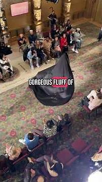 Behind The Scenes: Train Fluffer!