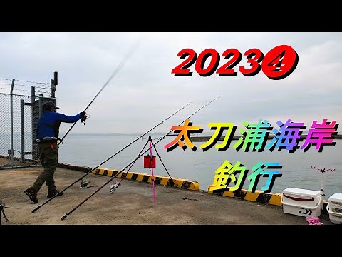 2023❹太刀浦海岸釣行