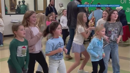 Leaders of Girl Scouts are looking to celebrate for Scout Taylor Swift's birthday Dec. 13