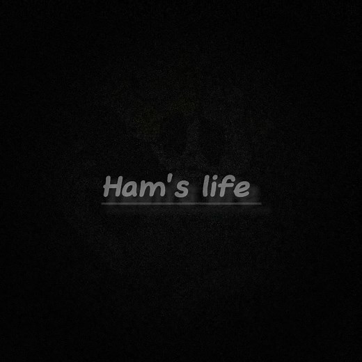 Haminations: Divertidos Edits de Animación