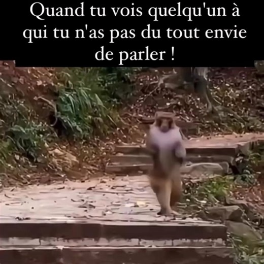 Parfois, par l’humour et des vidéos que je trouve sur le net, j’aime les partager avec vous 😄 Parce que certains actes représentent tellement bien la réalité… Cette vidéo en est un bon exemple : vous êtes tranquilles lors d’une promenade, tout va bien… et soudain : “Oh non, pas lui (elle) !” 😅 Et hop, vous rêveriez presque de disparaître avant que cette personne vous voie. Une petite scène de vie pleine de sens… et qui, avouons‑le, nous parle à tous 😉 | Les Champions Des Bulles Bleues