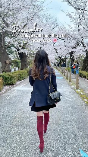 Who is ready for Sakura 🌸 the trees are starting to bud which means the cherry blossoms should start blooming next week! . . . . #japan #travel #japantravel #japanlife #tokyo #tokyotravel #tokyolife #cherryblossomseason #sakura #sakura🌸 #sakurajapan #cherryblossoms | Kim Dao