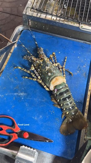 Food Land on Instagram: "A famous seafood delight in Chinatown! . Shop name: Fikeaw Yao Wa-Rat 📍Location: Yaowarat, China Town Bangkok, Thailand"